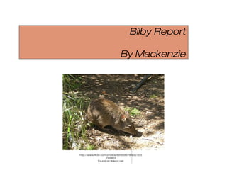 Bilby Report
By Mackenzie
http://www.flickr.com/photos/89165847@N00/303
2100812
Found on flickrcc.net
 