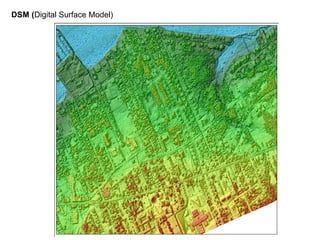 DSM (Digital Surface Model)
 