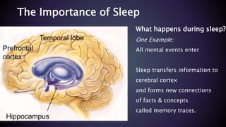 What happens during sleep?
One Example:
All mental events enter
Sleep transfers information to
cerebral cortex
and forms new connections
of facts & concepts
called memory traces.
Hippocampus
Temporal lobe
Prefrontal
cortex
The Importance of Sleep
 