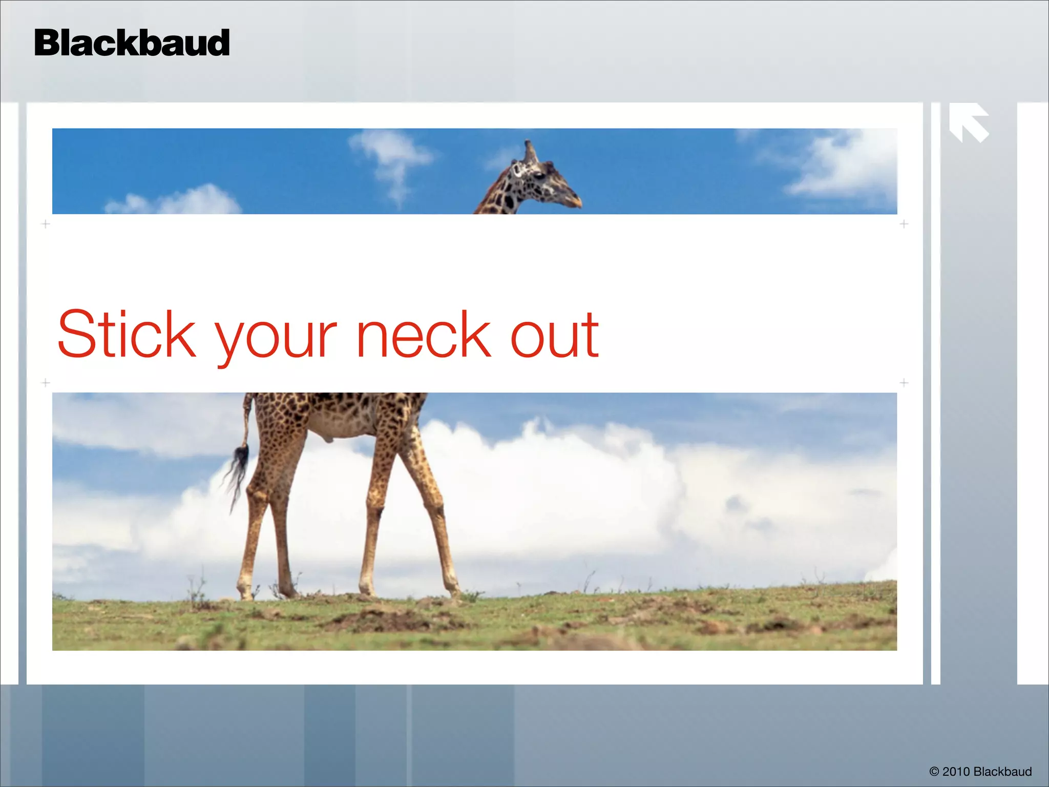 Blackbaud

                         



 Stick your neck out




                       © 2010 Blackbaud
 