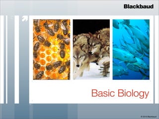 Blackbaud

     
73




         Basic Biology

                     © 2010 Blackbaud
 