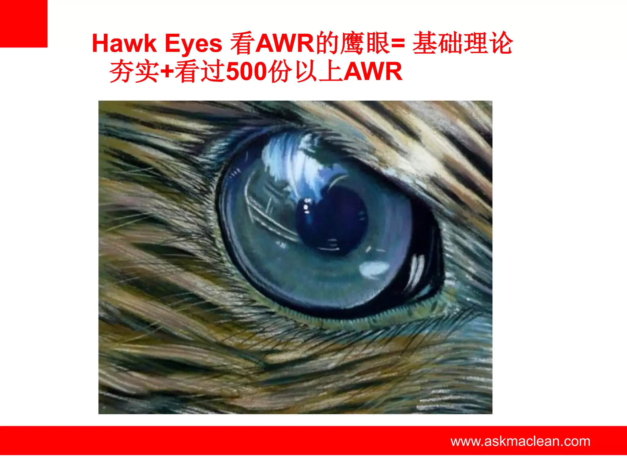 Hawk Eyes 看AWR的鹰眼= 基础理论
 夯实+看过500份以上AWR




        www.askmaclean.com   www.askmaclean.com
                              www.askmaclean.com
 