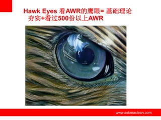 Hawk Eyes 看AWR的鹰眼= 基础理论
 夯实+看过500份以上AWR




        www.askmaclean.com   www.askmaclean.com
                              www.askmaclean.com
 