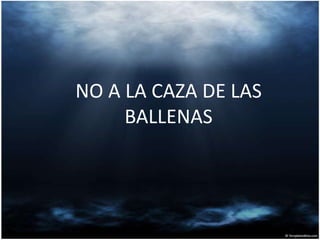 NO A LA CAZA DE LAS
     BALLENAS
 