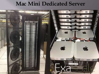 Mac Mini Dedicated Server 
 