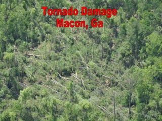 Tornado Damage Macon, Ga 