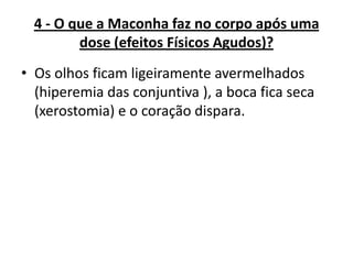 4 - O que a Maconha faz no corpo após uma
dose (efeitos Físicos Agudos)?
• Os olhos ficam ligeiramente avermelhados
(hiperemia das conjuntiva ), a boca fica seca
(xerostomia) e o coração dispara.

 