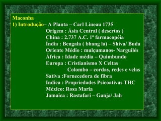 Maconha 1) Introdução – A Planta – Carl Lineau 1735 Origem : Ásia Central ( desertos ) China : 2.737 A.C. 1ª farmacopéia Índia : Bengala ( bhang la) – Shiva/ Buda Oriente Médio : mulçumanos- Narguilés África : Idade média – Quimbundo Europa : Cristianismo X Celtas Colombo – cordas, redes e velas Sativa :Fornecedora de fibra Indica : Propriedades Psicoativas THC México: Rosa Maria Jamaica : Rastafari – Ganja/ Jah 