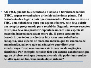 • Até 1964, quando foi encontrado e isolado o tetraidrocanabinol
(THC), sequer se conhecia o princípio ativo dessa planta. Tal
descoberta deu lugar a dois questionamentos. Primeiro: se existe o
THC, uma substância pura que age no cérebro, nele deve existir
um receptor programado para recebê-la. Segundo: se esse receptor
existe, nós devemos produzir espontaneamente uma espécie de
maconha interna para atuar sobre ele. O passo seguinte foi
descobrir que todos os cérebros fabricam uma substância
endógena, uma espécie de maconha interna que foi chamada de
anandamida, palavra que em sânscrito quer dizer bem-
aventurança. Disso resultou uma série enorme de cogitações
científicas. Por exemplo: se todos têm um sistema canabinoide que
age no cérebro, será que doenças mentais não poderiam resultar
de alterações no funcionamento desse sistema?
 