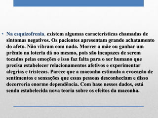 • Na esquizofrenia, existem algumas características chamadas de
sintomas negativos. Os pacientes apresentam grande achatamento
do afeto. Não vibram com nada. Morrer a mãe ou ganhar um
prêmio na loteria dá no mesmo, pois são incapazes de serem
tocados pelas emoções e isso faz falta para o ser humano que
precisa estabelecer relacionamentos afetivos e experimentar
alegrias e tristezas. Parece que a maconha estimula a evocação de
sentimentos e sensações que essas pessoas desconheciam e disso
decorreria enorme dependência. Com base nesses dados, está
sendo estabelecida nova teoria sobre os efeitos da maconha.
 