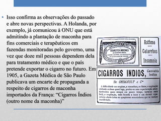 • Isso confirma as observações do passado
e abre novas perspectivas. A Holanda, por
exemplo, já comunicou à ONU que está
admitindo a plantação de maconha para
fins comerciais e terapêuticos em
fazendas monitoradas pelo governo, uma
vez que doze mil pessoas dependem dela
para tratamento médico e que o país
pretende exportar o cigarro no futuro. Em
1905, a Gazeta Médica de São Paulo
publicava um encarte de propaganda a
respeito de cigarros de maconha
importados da França: “Cigarros Índios
(outro nome da maconha)”
 