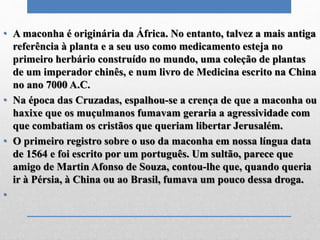 • A maconha é originária da África. No entanto, talvez a mais antiga
referência à planta e a seu uso como medicamento esteja no
primeiro herbário construído no mundo, uma coleção de plantas
de um imperador chinês, e num livro de Medicina escrito na China
no ano 7000 A.C.
• Na época das Cruzadas, espalhou-se a crença de que a maconha ou
haxixe que os muçulmanos fumavam geraria a agressividade com
que combatiam os cristãos que queriam libertar Jerusalém.
• O primeiro registro sobre o uso da maconha em nossa língua data
de 1564 e foi escrito por um português. Um sultão, parece que
amigo de Martin Afonso de Souza, contou-lhe que, quando queria
ir à Pérsia, à China ou ao Brasil, fumava um pouco dessa droga.
•
 