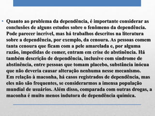 • Quanto ao problema da dependência, é importante considerar as
conclusões de alguns estudos sobre o fenômeno da dependência.
Pode parecer incrível, mas há trabalhos descritos na literatura
sobre a dependência, por exemplo, da cenoura. As pessoas comem
tanta cenoura que ficam com a pele amarelada e, por alguma
razão, impedidas de comer, entram em crise de abstinência. Há
também descrição de dependência, inclusive com síndrome de
abstinência, entre pessoas que tomam placebo, substância inócua
que não deveria causar alteração nenhuma nesse mecanismo.
Em relação à maconha, há casos registrados de dependência, mas
eles não são frequentes, se considerarmos a imensa população
mundial de usuários. Além disso, comparada com outras drogas, a
maconha é muito menos indutora de dependência química.
 