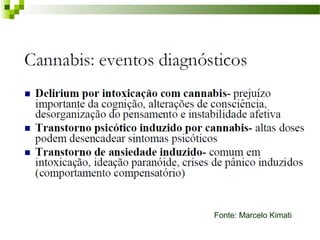 Fonte: Marcelo Kimati
 