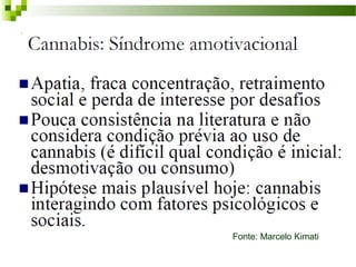 Fonte: Marcelo Kimati
 