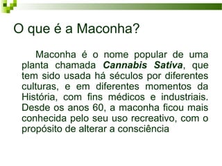O que é a Maconha?
    Maconha é o nome popular de uma
 planta chamada Cannabis Sativa, que
 tem sido usada há séculos por diferentes
 culturas, e em diferentes momentos da
 História, com fins médicos e industriais.
 Desde os anos 60, a maconha ficou mais
 conhecida pelo seu uso recreativo, com o
 propósito de alterar a consciência
 
