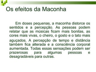 Os efeitos da Maconha

     Em doses pequenas, a maconha distorce os
 sentidos e a percepção. As pessoas podem
 relatar que as músicas ficam mais bonitas, as
 cores mais vivas, o cheiro, o gosto e o tato mais
 aguçados. A percepção de tempo e distância
 também fica alterada e a consciência corporal
 aumentada. Todas essas sensações podem ser
 prazerosas    para     algumas      pessoas     e
 desagradáveis para outras.
 