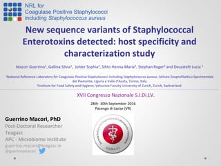 New sequence variants of Staphylococcal
Enterotoxins detected: host specificity and
characterization study
Macori Guerrino1, Gallina Silvia1, Johler Sophia2, Sihto Henna-Maria2, Stephan Roger2 and Decastelli Lucia 1
1National Reference Laboratory for Coagulase-Positive Staphylococci including Staphylococcus aureus, Istituto Zooprofilattico Sperimentale
del Piemonte, Liguria e Valle d'Aosta, Torino, Italy
2Institute for Food Safety and Hygiene, Vetsuisse Faculty University of Zurich, Zurich, Switzerland.
28th- 30th September 2016
Pacengo di Lazise (VR)
NRL for
Coagulase Positive Staphylococci
including Staphylococcus aureus
XVII Congresso Nazionale S.I.Di.LV.
Guerrino Macori, PhD
Post-Doctoral Researcher
Teagasc
APC - Microbiome Institute
guerrino.macori@teagasc.ie
@guerrinomacori
 