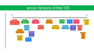 Various Versions of Mac OS
 