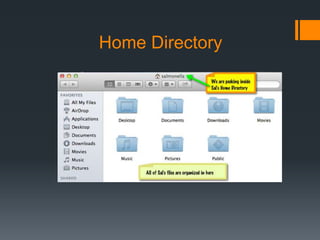 Home Directory
 