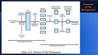 ElementsElements
of Fileof File
ManagementManagement
 