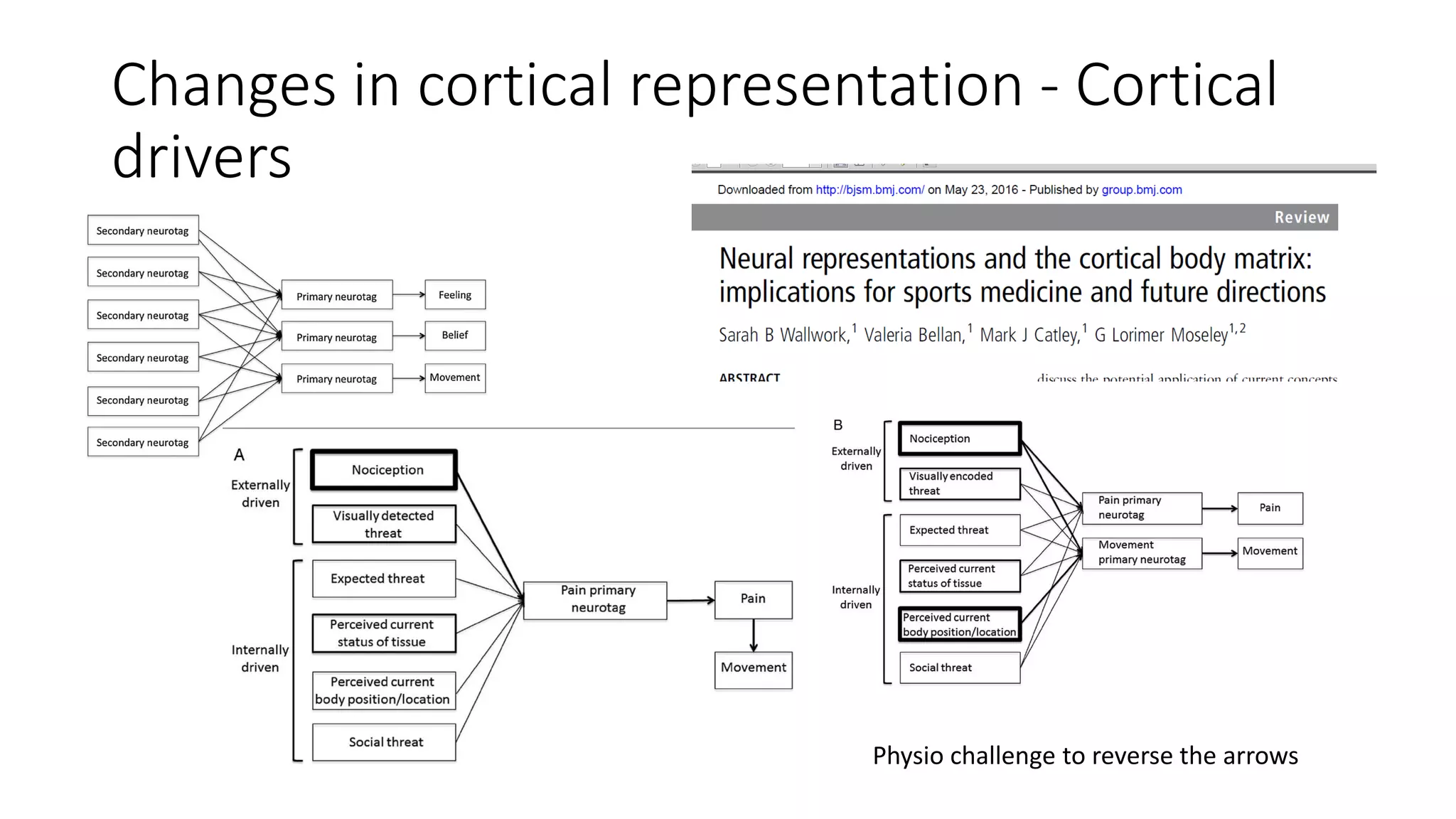 Changes in cortical representation - Cortical
drivers
Physio challenge to reverse the arrows
 