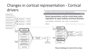 Changes in cortical representation - Cortical
drivers
Physio challenge to reverse the arrows
 