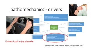 pathomechanics - drivers
Drivers local to the shoulder
(Warby, Pizzari, Ford, Hahne, & Watson, 2014) (Barrett, 2015)
non-traumatic
sh instability
(MDI)
secondarypsychological
emotional &cognitive factors
anatomical or neural defects
acquiredor genetic
redundantanteriorcapsule
bonyand capsulolabral anatomy
mechanosensitivity
neural tissue
Motor development
poor muscle tone
poor sensoryintegration
Hyperlaxity
generalisedor
congenital syndromes
Pain
peripheral (somatic)
central sensitisation(neuropathic)
changesinsensoryandmotor cortical representation
Movementdysfunction
neuromuscularcontrol
scapulakinematics
atypical patternsof muscularactivation
Proprioceptionloss
microtrauma
 