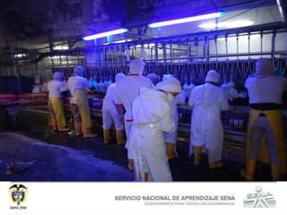 tanto de aprendizajes como de experiencias, no importa cómo ni cuando se hayan adquirido; así mismo, facilitan la medición y mejoramiento de la calidad de productividad de las empresas, y de conglomerados de empresas, cadenas productivas, sectores y regiones.” 