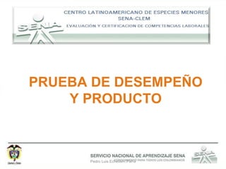 Pedro Luis Echeverri Parra PRUEBA DE DESEMPEÑO Y PRODUCTO 