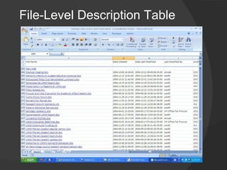 File-Level Description Table
 