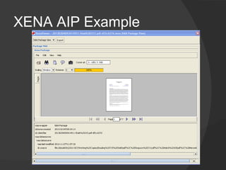 XENA AIP Example
 