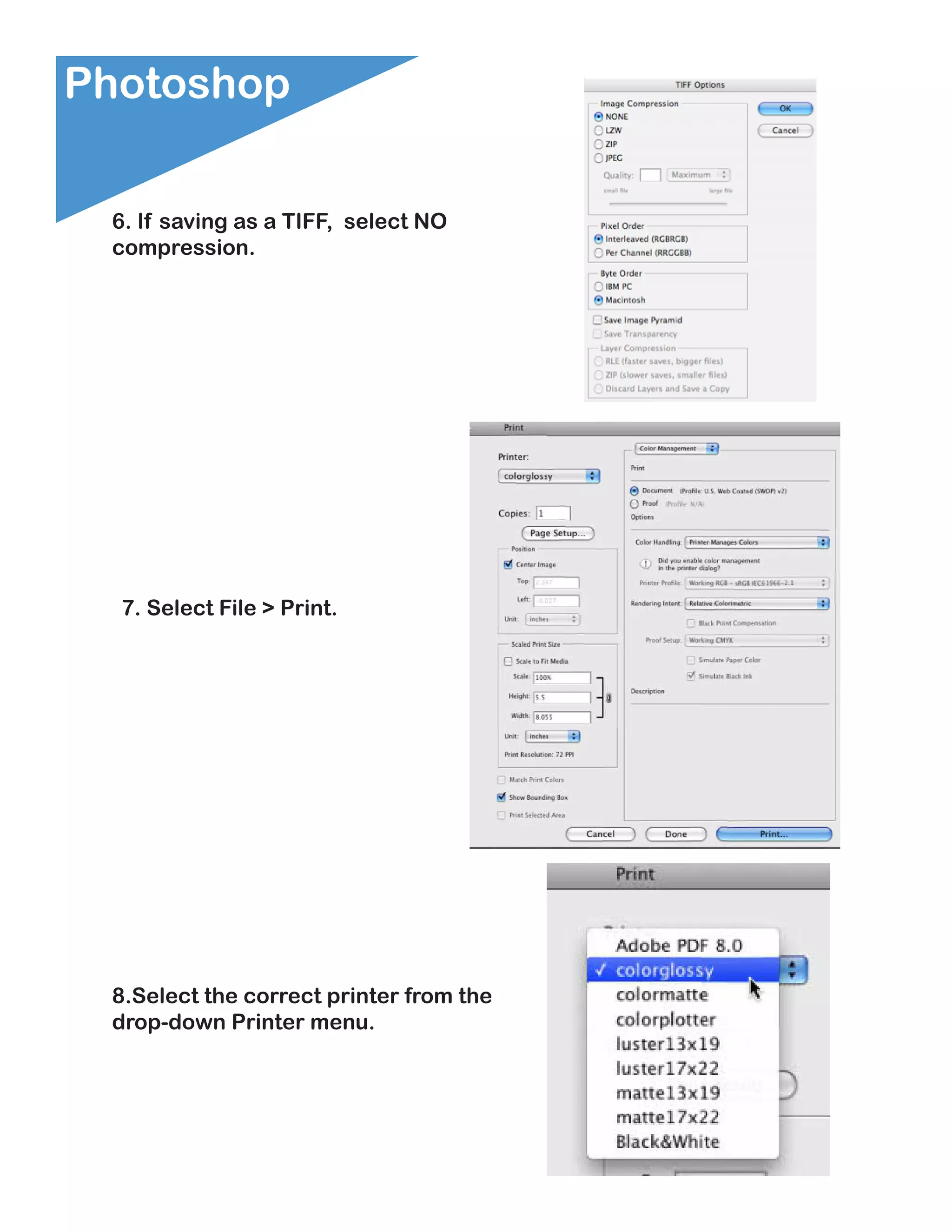Photoshop

 6. If saving as a TIFF, select NO
 compression.




  7. Select File > Print.




 8.Select the correct printer from the
 drop-down Printer menu.
 