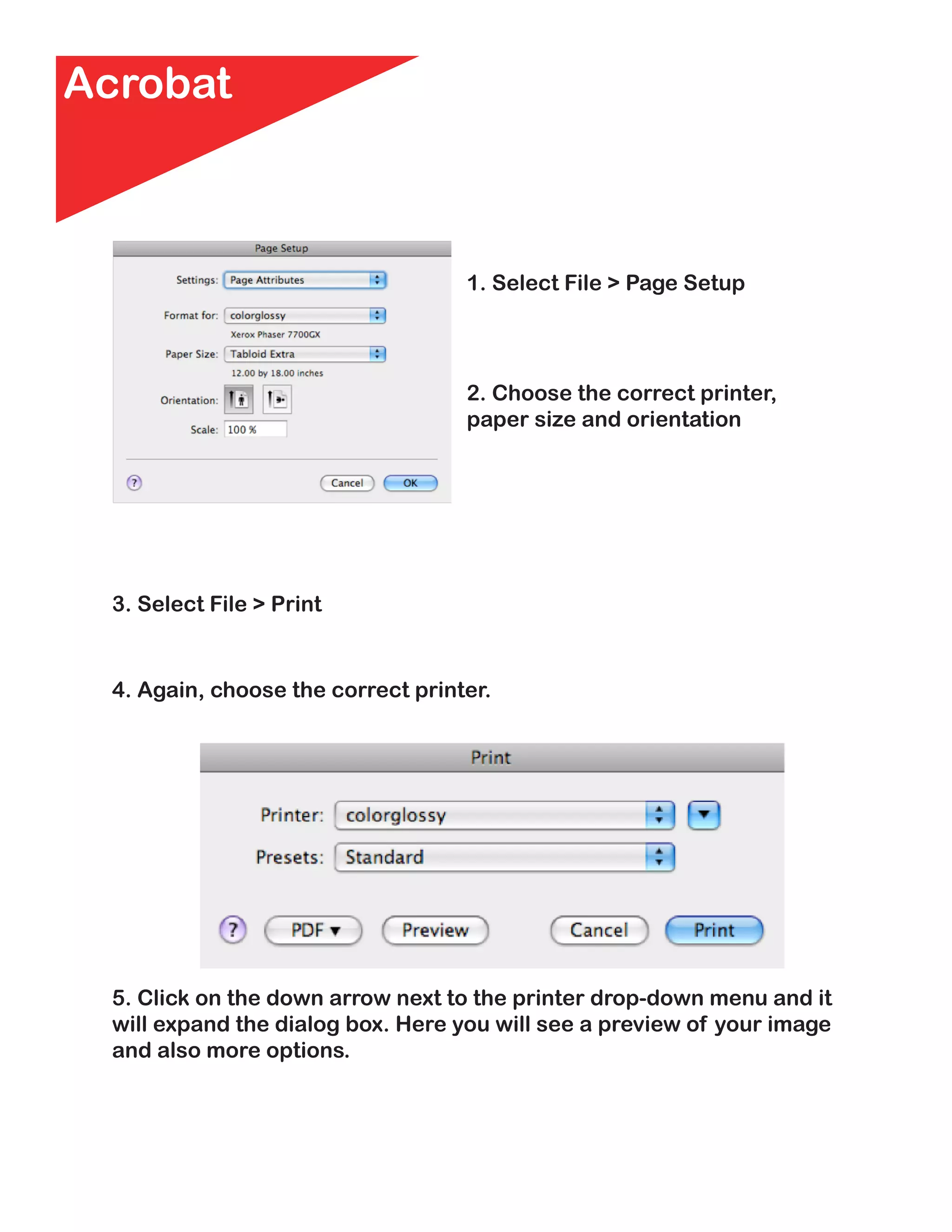 Acrobat



                                    1. Select File > Page Setup




                                    2. Choose the correct printer,
                                    paper size and orientation




  3. Select File > Print


  4. Again, choose the correct printer.




  5. Click on the down arrow next to the printer drop-down menu and it
  will expand the dialog box. Here you will see a preview of your image
  and also more options.
 