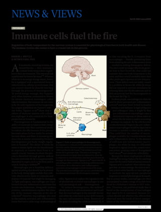 NEWS & VIEWS                                                                                                                      doi:10.1038/nature10714



  P H YSIO LO GY



Immune cells fuel the fire
Regulation of body temperature by the nervous system is essential for physiological function in both health and disease.
The immune system also seems to have a crucial role in this process.


ANDREW J. WHITTLE                                                                                         or that encoding the IL-4 receptor from
& A N T O N I O V I D A L- P U I G                                                                        macrophages — thereby preventing them
                                                                                                          from adopting the anti-inflammatory form


A
          ll mammals, including humans, are                                                               — resulted in striking thermogenic defects.
          homeotherms — they maintain a                                                                   The mice could no longer effectively gener-
          constant body temperature regard-                                                               ate heat in their brown fat; they could not
less of their environment. This essential task                                                            maintain their core body temperature in the
                                                                                             Brain
is performed by brown fat tissue1–3. Whereas                                                              cold; and they would probably have died
white fat is an energy storage depot, brown                                                               after prolonged exposure to low tempera-
fat is equipped with a specialized form of                                                                tures. These defects were not solely caused
mitochondria, cellular powerhouses, that                                                                  by a problem in brown fat: white fat tissue
can convert stored fat directly into heat                                Nervous system                   did not respond to nervous stimulation by
through the process of thermo genesis4.                                                                   releasing lipids into the bloodstream and so
To avoid energy wastage, this happens                                                                     did not provide fuel for thermogenesis in
only when neurons connected to brown                                                                      the brown fat (Fig. 1).
                                                                                   Catecholamines
fat release chemical messengers called                                                                       In obese people, macrophages in white fat
catecholamines. But neurons do not seem                       Anti-in ammatory                            tend to show increased pro-inflammatory
                                                              macrophage
to be the only regulators of thermogenesis.                                                               activity9 and have been linked to insulin
In a paper published on Nature’s web-                                                                       resistance and diabetes. In light of Nguyen
site today, Nguyen et al.5 show that a                                    Lipids
                                                                                                              and colleagues’ data, it might be that
                                                                                     Brown fat
subset of immune-system cells called                                                 tissue
                                                                                                              pro-inflammatory macrophages cause a
macrophages is also essential for heat                                                                        detrimental response in obese states in
                                                                     Alternative
production in brown fat.                                             activation                               which the fat tissue is under increasing
   Thermogenesis is fundamental to the                                                                      pressure to expand. As fat cells become
ability of mammals to balance their energy        White fat                                               overburdened and begin to die, pro-inflam-
requirements with their nutritional stores.       tissue                                                  matory macrophages would be expected to
In rodents, the effectiveness of this process                                                      Heat   increase in number to clean up the debris.
has implications for how easily the animals                 IL-4, other
                                                                                 Macrophage
                                                                                                          This could limit the number of macro-
become obese, and there is increasing evi-                  cytokines                                     phages available for transformation into
dence for a similar relationship between                                                                  anti-inflammatory forms. In the absence
thermogenesis and body-weight regula- Figure 1 | Role of macrophages in thermogenesis.                    of sufficient anti-inflammatory macro-
tion in humans2. The ability of white fat In response to a reduced environmental temperature,             phages, the white fat may not efficiently
tissue to release lipids into the bloodstream the brain sends chemical signals (catecholamines) to        respond to signals from the central nerv-
as required, or remove them from it, is white and brown fat tissues. Catecholamines activate              ous system, creating a state of dysregulated
equally crucial. Humans in whom this pro- brown fat to generate heat. The source of energy for            lipid release10 and metabolic inflexibility.
cess is disturbed through genetic defects heat production is lipids that are released by white fat           Beyond the direct implications of these
                                               in response to catecholamines and that reach brown fat
become extremely ill: fat is inappropriately                                               5              findings5 for energy balance lie far-reaching
                                               through the bloodstream. Nguyen et al. report that IL-4,
deposited in organs such as the liver, and in and perhaps other cytokines including catecholamines        issues for the entire field of animal research.
                               6,7
muscle, leading to diabetes .                  themselves, drive alternative (anti-inflammatory)          Nguyen and co-authors’ observations sug-
   Macrophages are a frontline defence activation of macrophages in both forms of fat tissue.             gest that, in some settings, the central nerv-
against anything that should not be present The activated macrophages also secrete catecholamines         ous system relies heavily on macrophages
in the body. Being highly mobile, they infil- to enhance and sustain the thermogenic response.            to mediate the appropriate peripheral
trate almost every tissue to consume and                                                                  response to normal physiological demands.
dispose of material that might be damaging. roles. Nguyen et al. explore the regulatory role But in animal studies, macrophages are often
To fight pathogens, macrophages are trans- of alternatively activated macrophages in one manipulated to create a range of models from
formed into pro-inflammatory machines that such physiological task — thermogenesis.                     those for Alzheimer’s disease to HIV infec-
secrete catecholamines. Along with cytokine           To induce thermogenesis, the authors 5 tion. Therefore, any published study that is
proteins, catecholamines regulate the inten- placed mice in a cold environment and found based on the manipulation of macrophages
sity of the immune response at the site of that the macrophages in the animals’ brown may need to be re-examined, because sci-
infection8. However, macrophages also exist and white fat underwent a clear shift towards entists should ask whether the effects they
in alternatively activated, anti-inflammatory the anti-inflammatory form. Removal of observed were the result of direct manipu-
forms that have a wide range of physiological the gene encoding the cytokine protein IL-4 lation of the immune system or a result of

                                                                                                                                         | NAT U R E | 1
                                                   © 2011 Macmillan Publishers Limited. All rights reserved
 