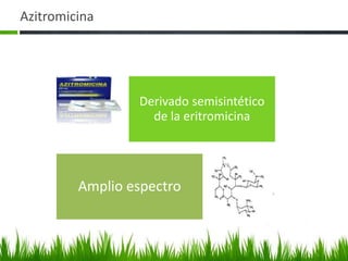 Azitromicina




                 Derivado semisintético
                   de la eritromicina




         Amplio espectro
 