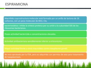 ESPIRAMICINA


Macrólido cuya estructura molecular está formada por un anillo de lactona de 16
carbonos, con un peso molecular de 843,1 Da.

bacteriostático: inhibe la síntesis proteica por su unión a la subunidad 50S de los
ribosomas bacterianos.

Posee actividad bactericida a concentraciones elevadas.


Actividad antibacteriana sensiblemente inferior a eritromicina.


Mayor actividad frente a otros macrolidos contra toxoplasma gondii.

No esta aprobado por la FDA, pero es adquirido con permiso de esta para tratamiento
de toxoplasmosis.
 