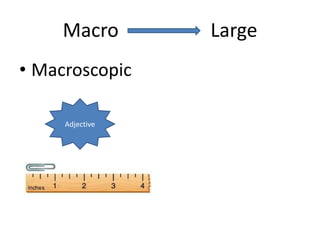 Macro Large
• Macroscopic
Adjective
 