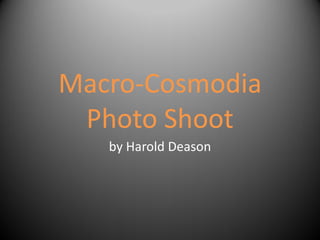 Macro-Cosmodia
Photo Shoot
by Harold Deason
 