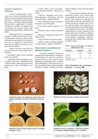 Macro E Micronutrientes   ImportâNcia