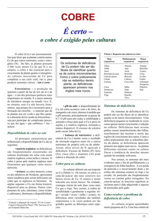 Macro E Micronutrientes   ImportâNcia