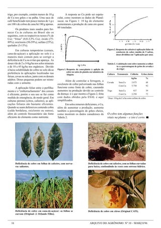 Macro E Micronutrientes   ImportâNcia