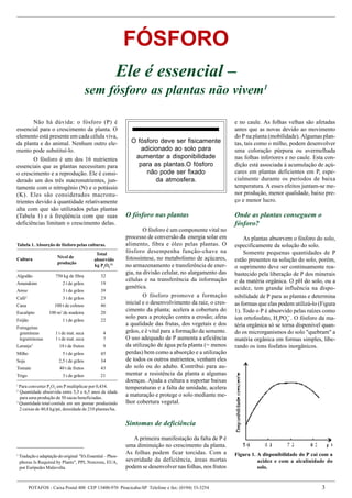 Macro E Micronutrientes   ImportâNcia