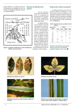 Macro E Micronutrientes   ImportâNcia