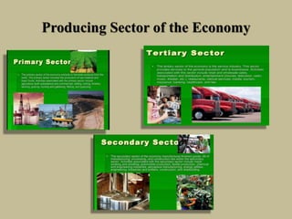 Producing Sector of the Economy
 