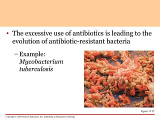 Copyright © 2003 Pearson Education, Inc. publishing as Benjamin Cummings
• The excessive use of antibiotics is leading to the
evolution of antibiotic-resistant bacteria
– Example:
Mycobacterium
tuberculosis
Figure 13.22
 