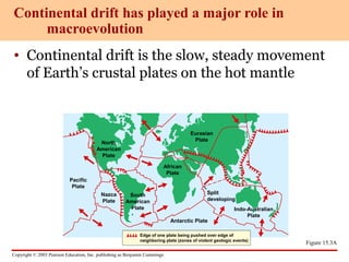 Copyright © 2003 Pearson Education, Inc. publishing as Benjamin Cummings
• Continental drift is the slow, steady movement
of Earth’s crustal plates on the hot mantle
Continental drift has played a major role in
macroevolution
Figure 15.3A
Pacific
Plate
North
American
Plate
Nazca
Plate
South
American
Plate
African
Plate
Eurasian
Plate
Split
developing
Indo-Australian
Plate
Edge of one plate being pushed over edge of
neighboring plate (zones of violent geologic events)
Antarctic Plate
 