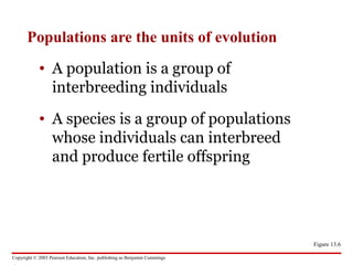 Copyright © 2003 Pearson Education, Inc. publishing as Benjamin Cummings
Populations are the units of evolution
• A population is a group of
interbreeding individuals
• A species is a group of populations
whose individuals can interbreed
and produce fertile offspring
Figure 13.6
 
