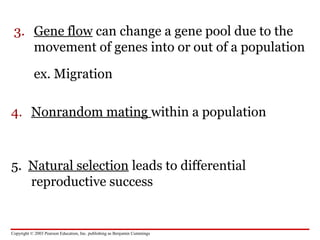 Copyright © 2003 Pearson Education, Inc. publishing as Benjamin Cummings
3. Gene flow can change a gene pool due to the
movement of genes into or out of a population
ex. Migration
4. Nonrandom mating within a population
5. Natural selection leads to differential
reproductive success
 