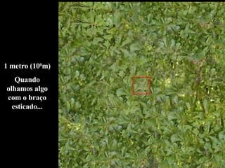 1 metro (10 0 m) Quando olhamos algo com o braço esticado... 
